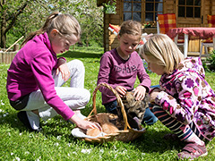 Katzenkinder