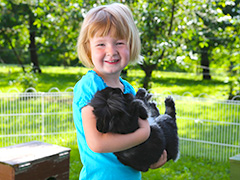 Hoftiere Hasen